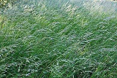 克系悬疑恐怖卡牌叙事游戏《海鲁克的惊恐》现已推出试玩Demo